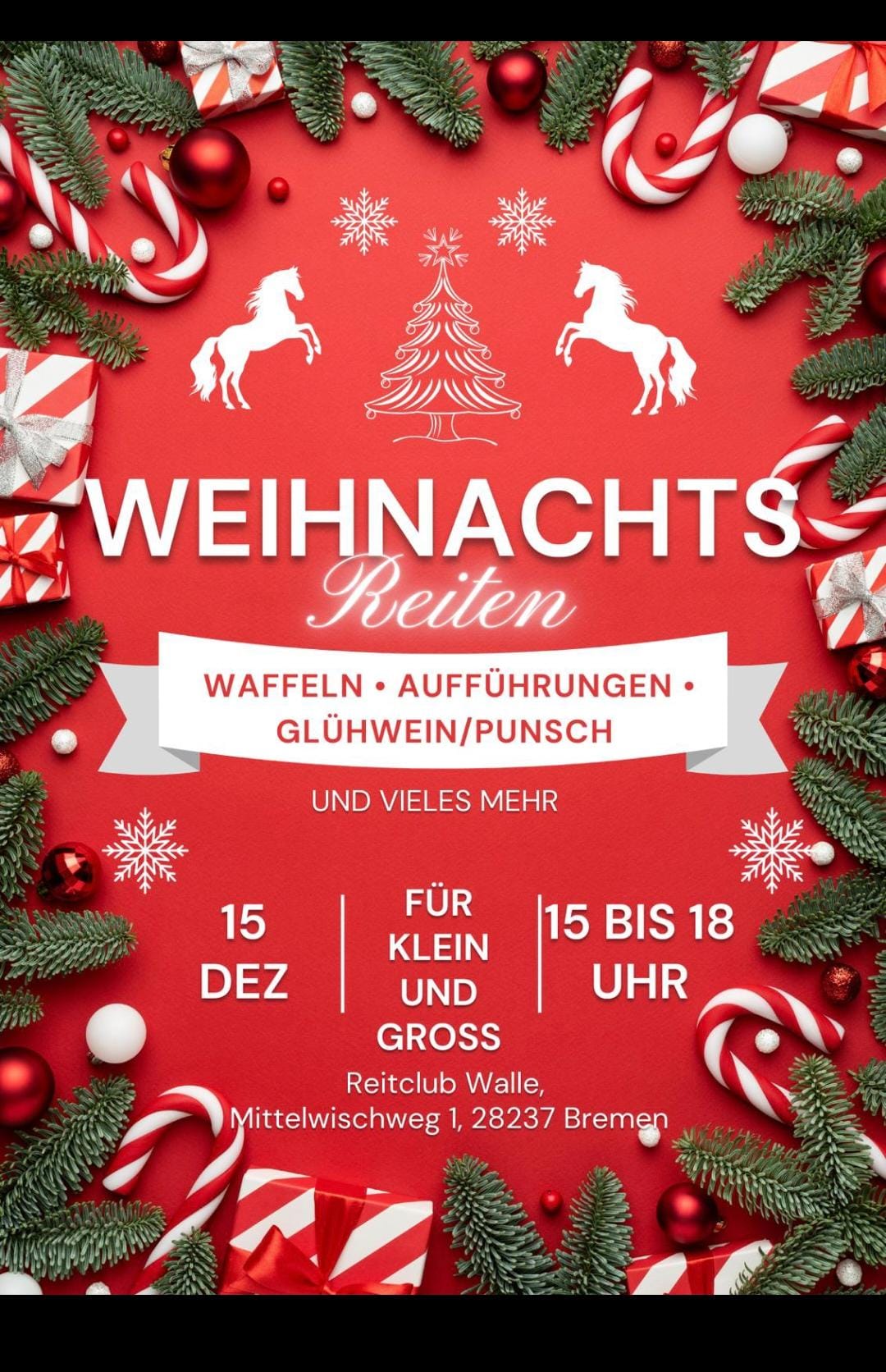 Weihnachtsreiten2024